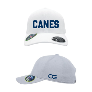 Canes White with Navy FlexFit 110 OSFA